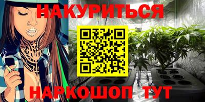 крисы Новокубанск