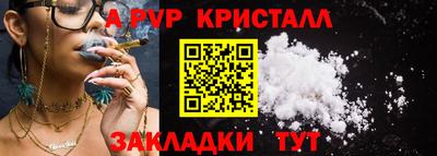 крисы Новокубанск