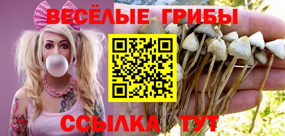 Псилоцибиновые грибы GOLDEN TEACHER Трёхгорный